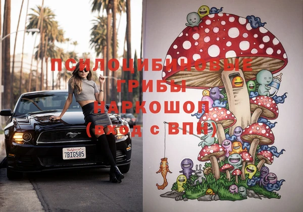 mdpv Верхний Тагил
