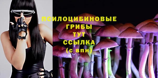 mdpv Верхний Тагил